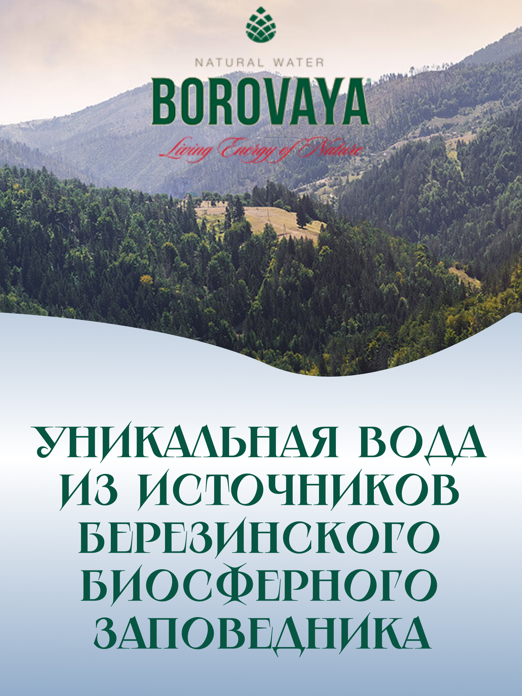 Каталог Вода минеральная БОРОВАЯ (Borovaya) лечебно-столовая питьевая  сульфатно-кальциевая газированная 0.33л, стекло, Беларусь от магазина  Organic Food