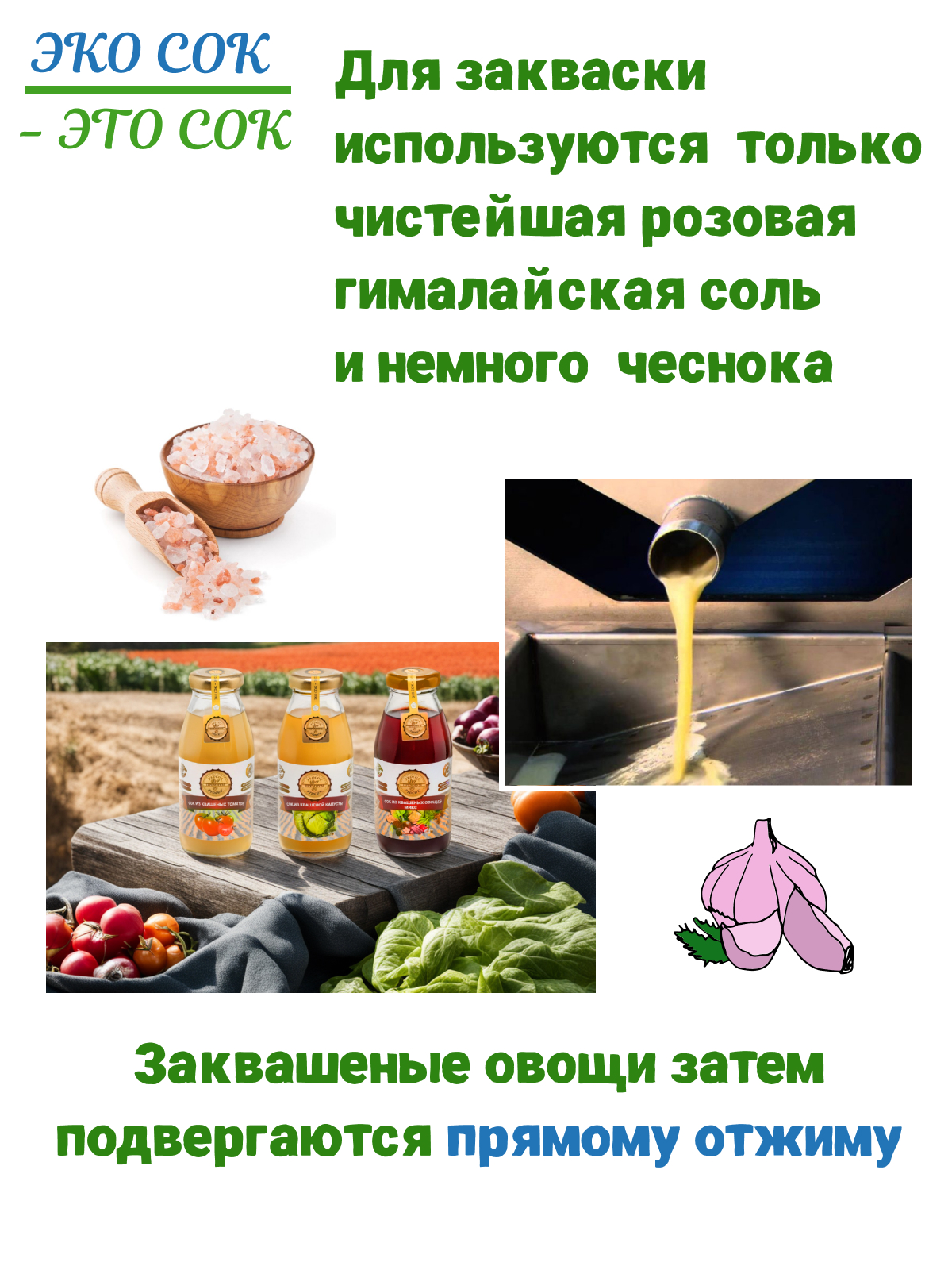 Купить Сок DETOX (Антипохмелин) из квашеных овощей ЭКОСОК, 200мл, Россия от  ЭКОСОК - ЭТОСОК за по цене 198₽ | Заказать Полезные соки и напитки с  доставкой в Москве