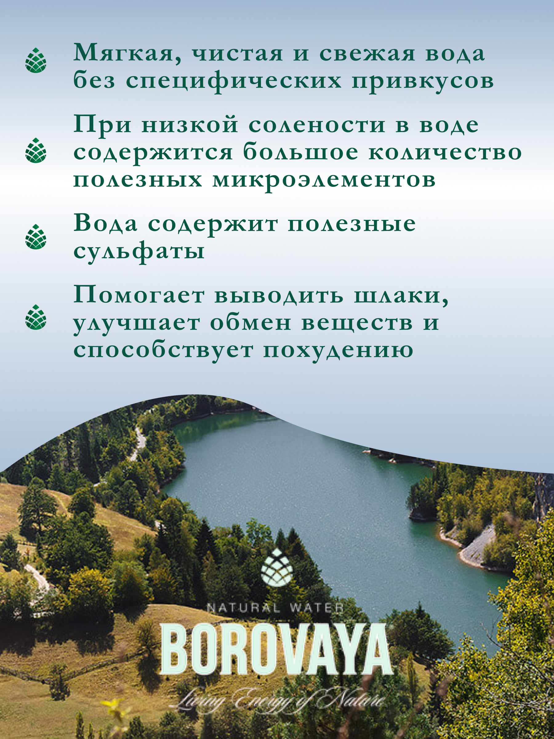 Вода природная питьевая БОРОВАЯ (Borovaya) газированная 1.5л, ПЭТ, Беларусь