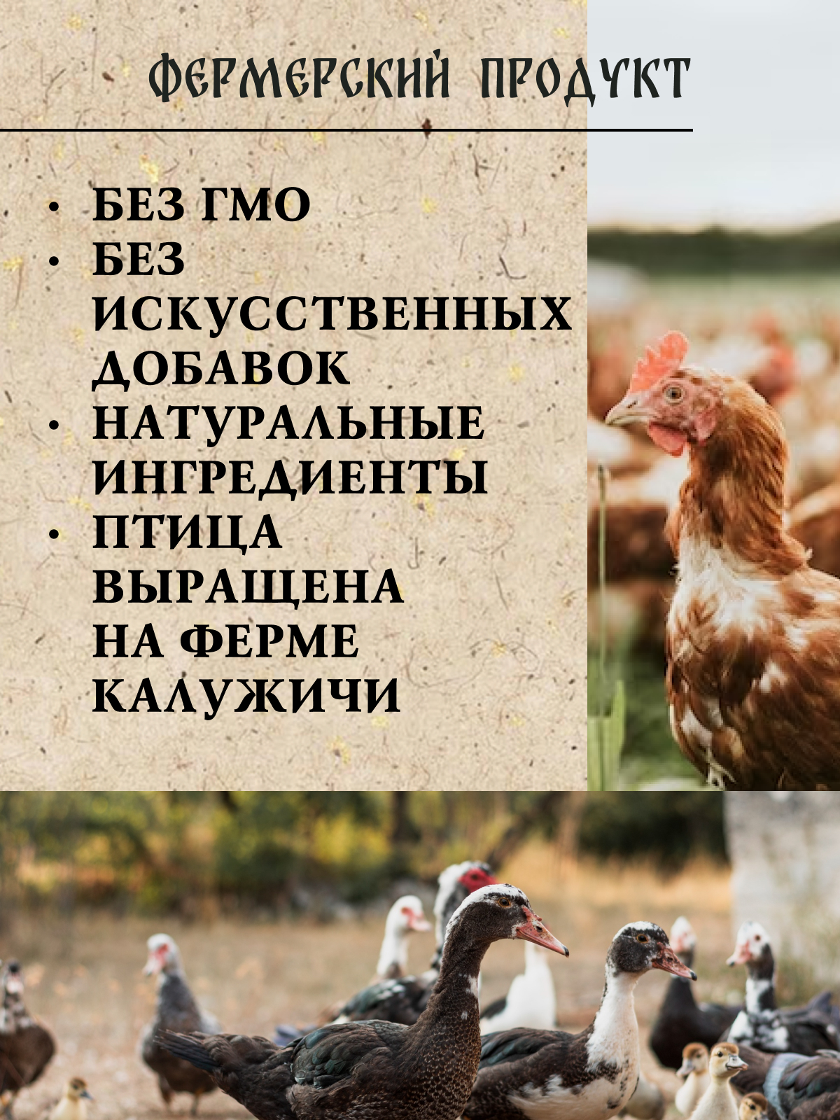 Купить Паштет 